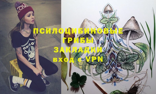 mix Бородино