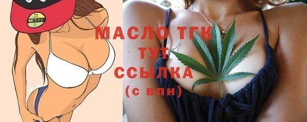 mix Бородино