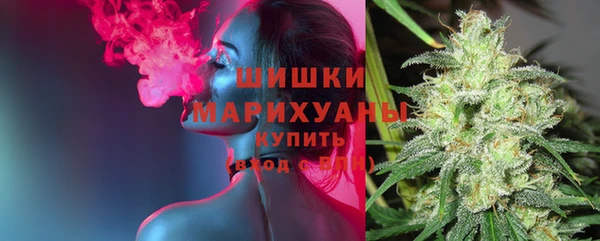 mix Бородино